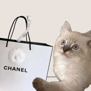 Meet your Posher, Malia